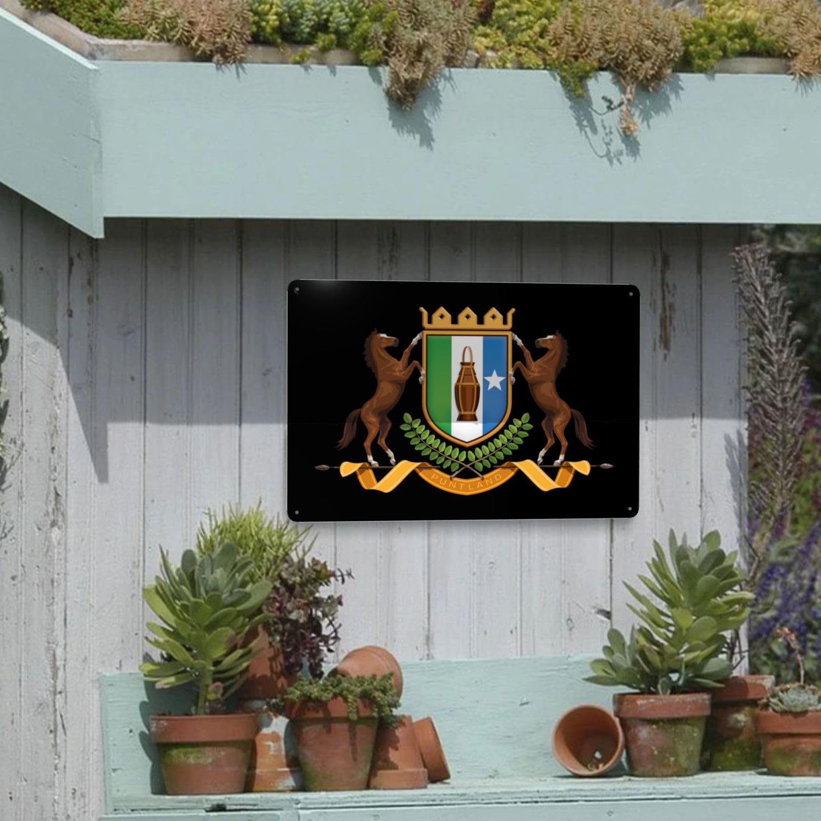 Amazon.com: MULIHU Puntland State of Somalia Coat of Arms Tin