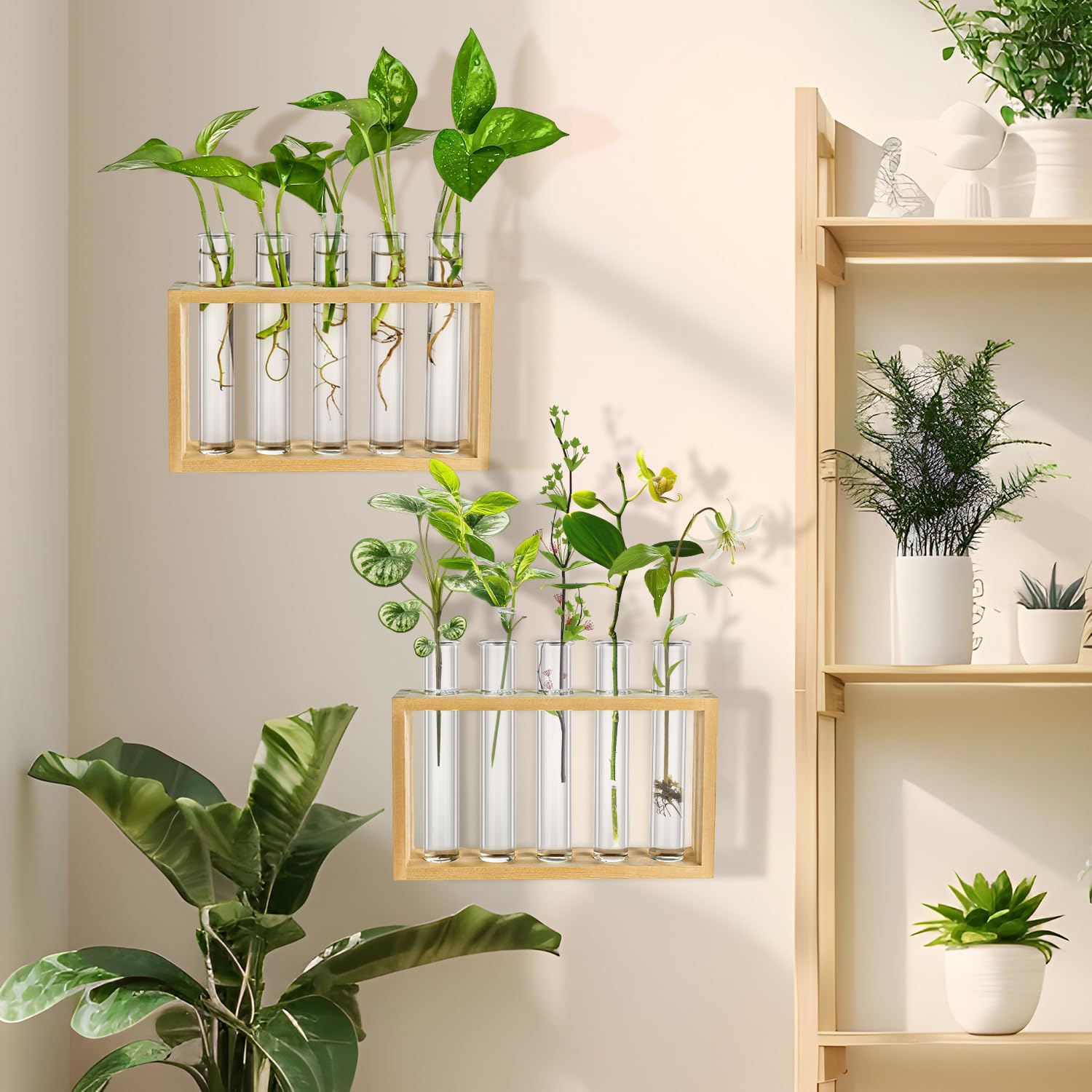 10 tubos de ensayo transparentes para propagación de plantas, tubo de laboratorio de prueba de 20 ml para experimentos científicos pruebas de muestras, tubo de ensayo de fondo redondo para decoración