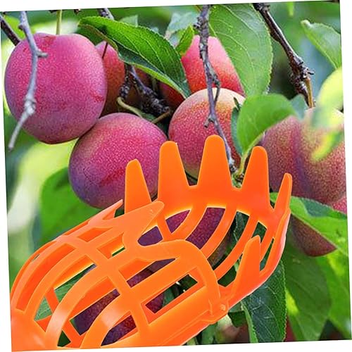 Miniatura 5 de Yardwe 2 Unidades Recolectores de frutas Herramienta de níspero Jardín Cosechadoras de Frutas Herramienta de Granja para Fácil Seguro Fruta 2 unids*2