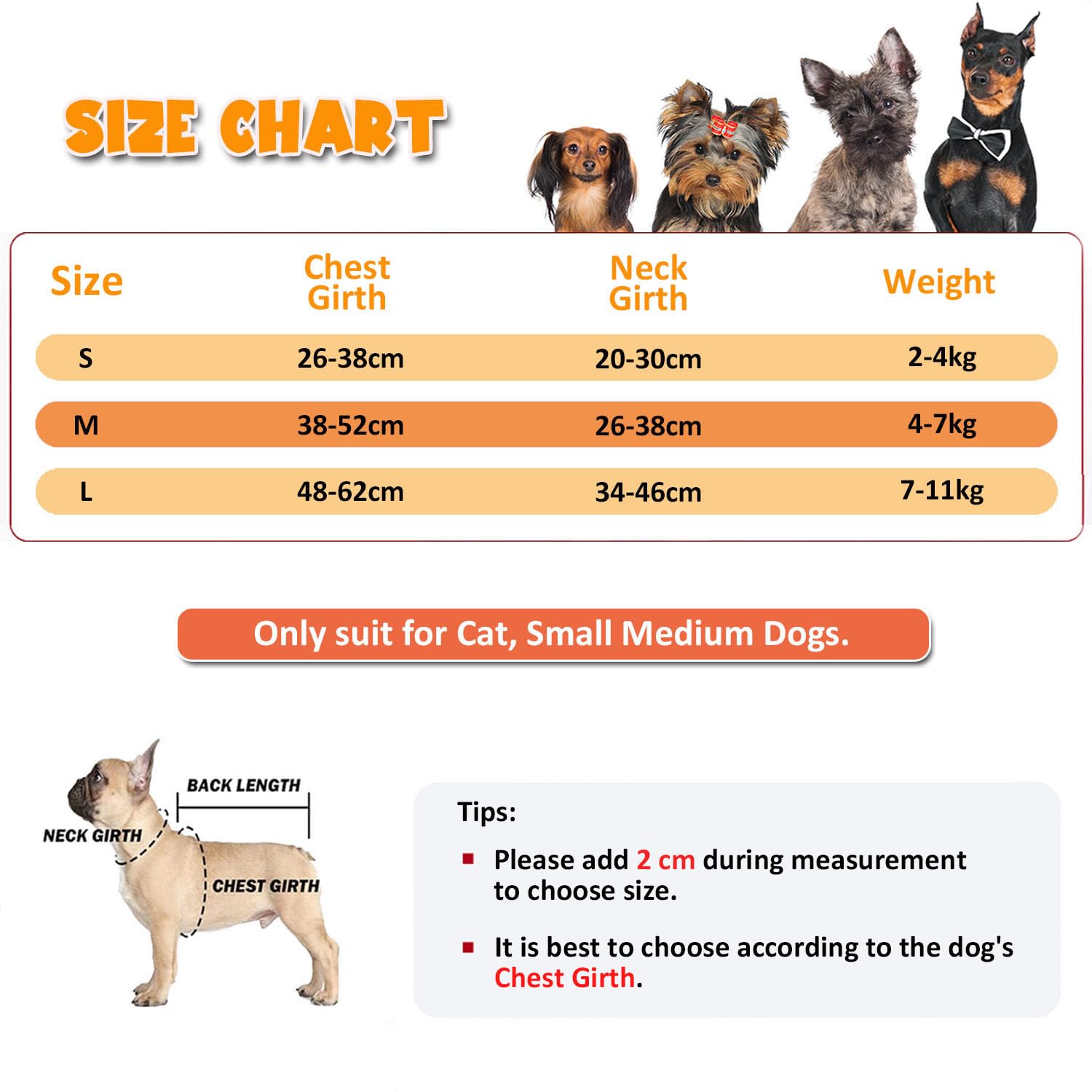 BT Bear Halloween Pet Costume - Image 3