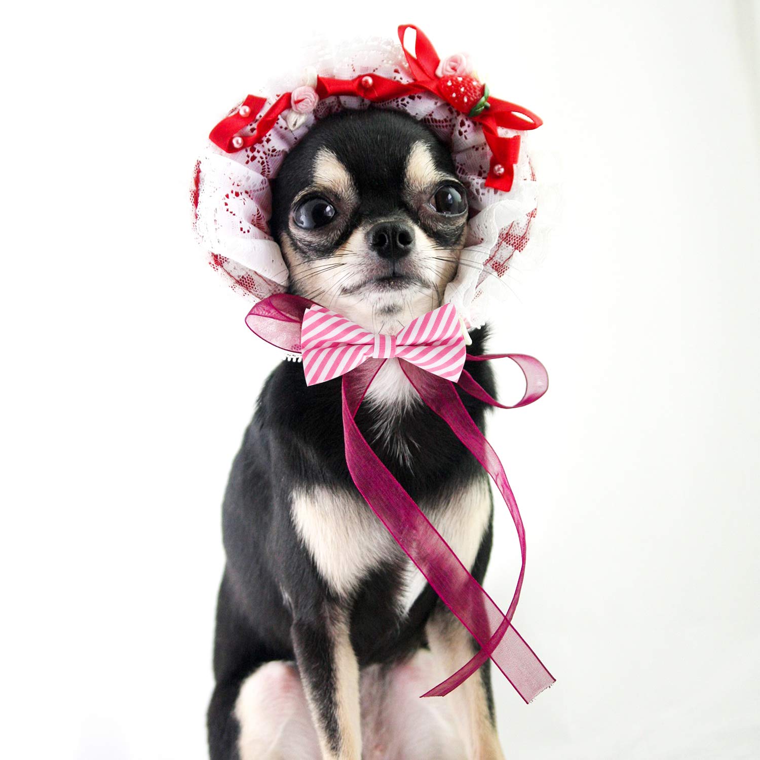 Segarty 80 Stück Hundefliegen-Set – Verstellbare Halsschleifen Für Hunde & Katzen – Geburtstag, Party, Fotografie