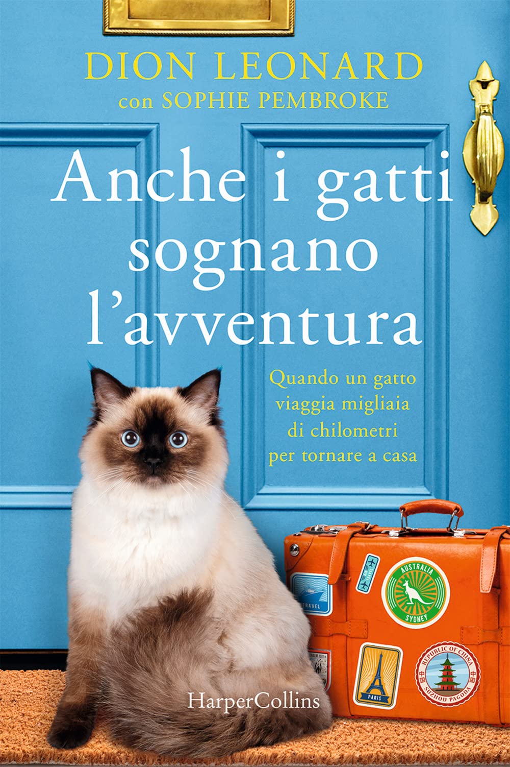 Anche I Gatti Sognano L'avventura - 4