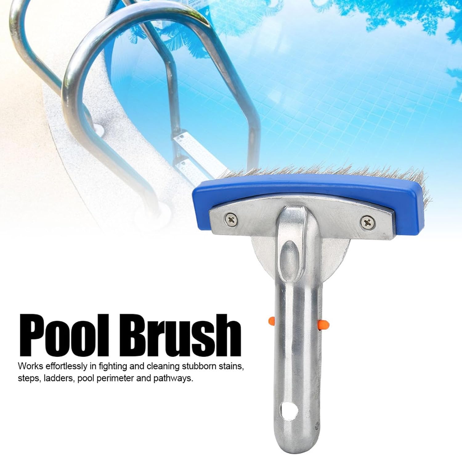 5.5in Heavy Duty Pool Brush, Stainless Steel Pool Brush Scrubbing Scrubber
