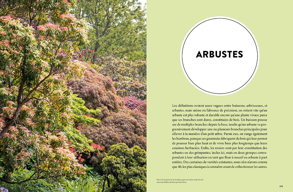 Les 900 plantes de jardin à connaître