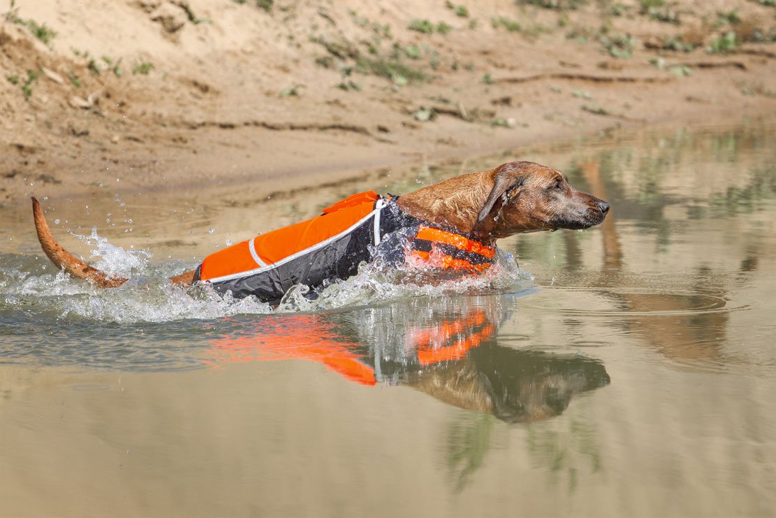 Knuffelwuff 13921-002 Hunde-Schwimmweste Storm mit Griff und Reflektoren größe: M