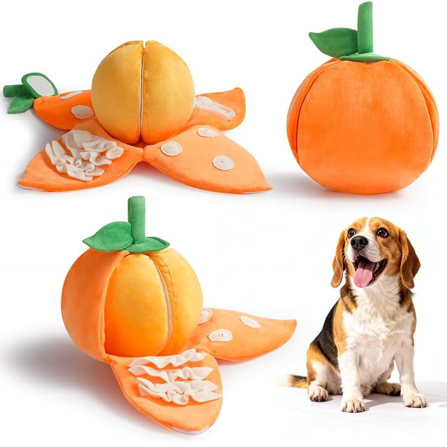 Nocciola Juguete chirriante Interactivo para Perros, 5 en 1, Tema Naranja