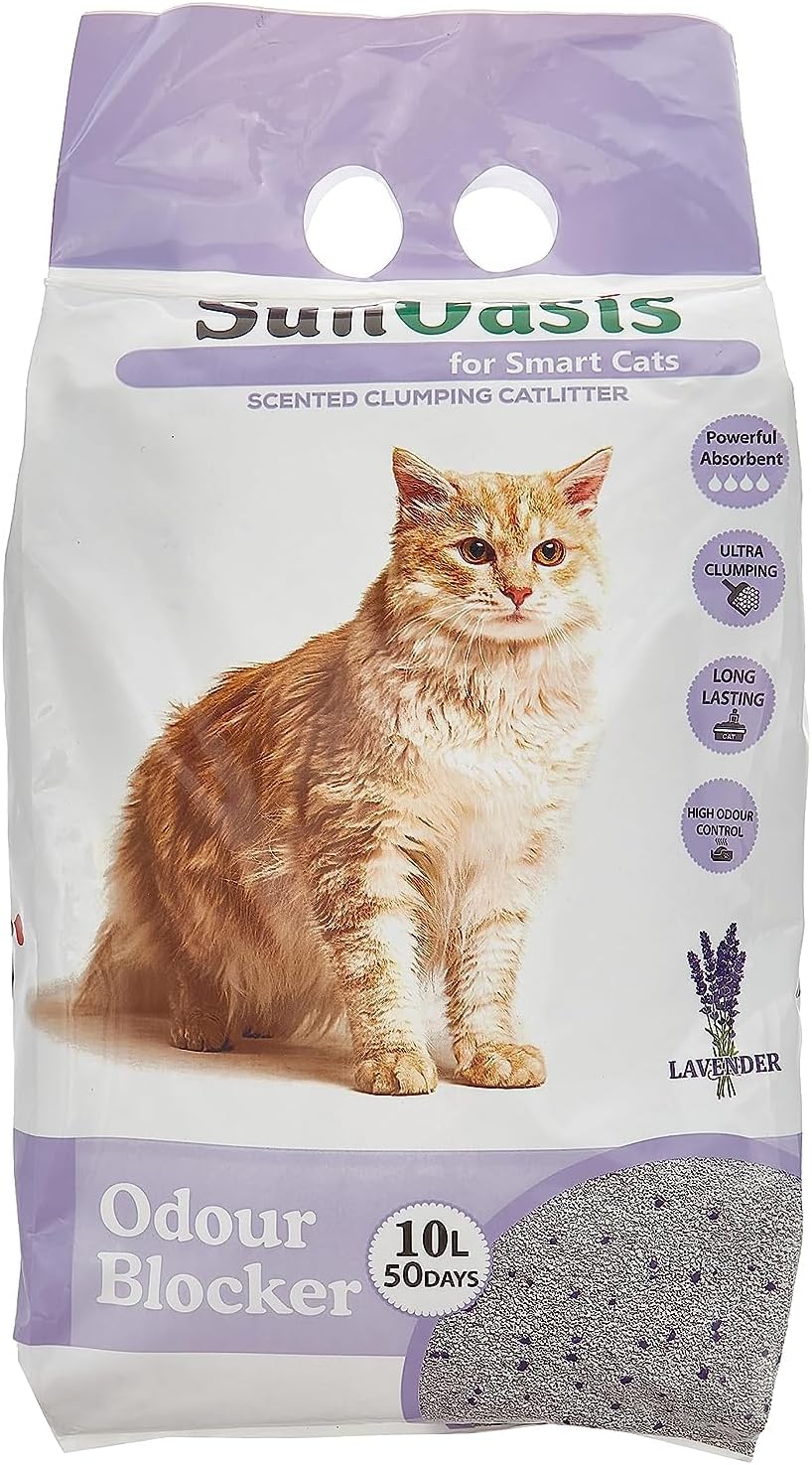 Sun Oasis Clumping Cat Litter Lavender Scented 10 L Buy Online at Best Price in UAE Amazon.ae