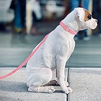 Vista 107 de Collar de Algodón Suave para Perro con Hebilla de Metal Ajustable de Servicio Pesado Cómodo Collares de Pana para Perros Pequeños, Medianos