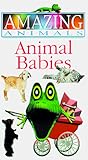 vhs babenhausen schwaben programm  Animal Babies [VHS]