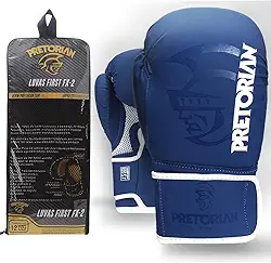 Luva de Boxe e Muay Thai FX2 Pretorian