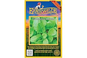 2000 Tendergreen Mustard Seeds: Harvest All Season with Our Gold Vault Jumbo Seed Packet