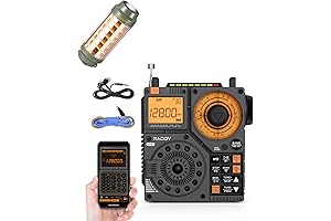 Raddy RF320 APP Control Shortwave Radio