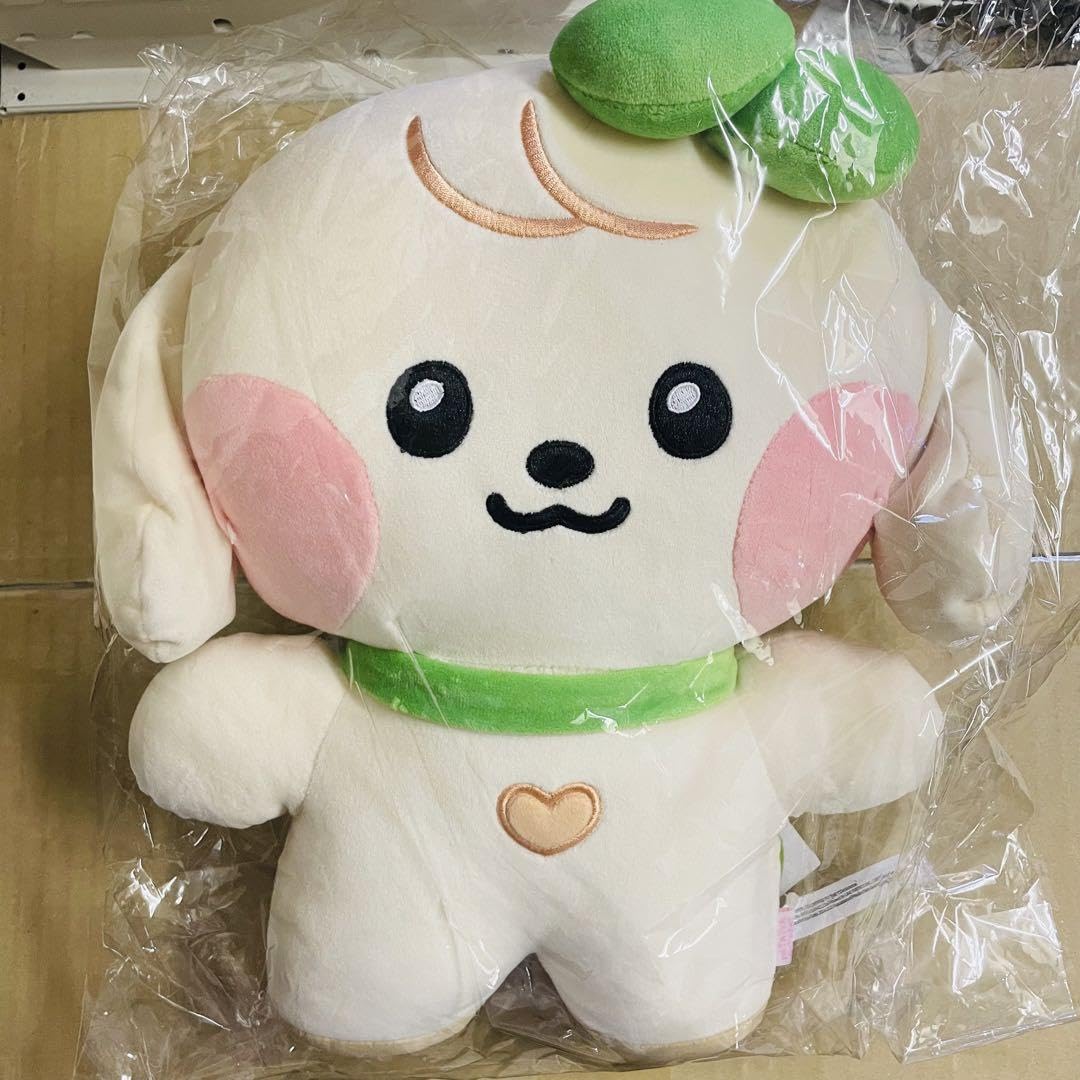 IVE MINIVE カンアンジ ユジン フェイスクッション IVE MINIVE カンアンジ ユジン フェイスクッション - メルカリ