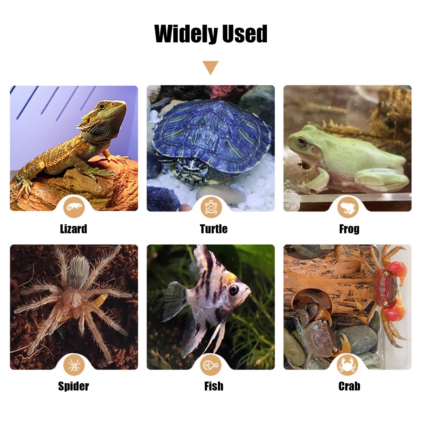 Hábitat de Reptil, hábitat de Reptil Cueva | Cueva de Resina de dragón Barbudo - Accesorios de Tanques de Reptiles Hábitat para arañas, Ranas, cangrejos ermitaños, lagartos, Serpientes