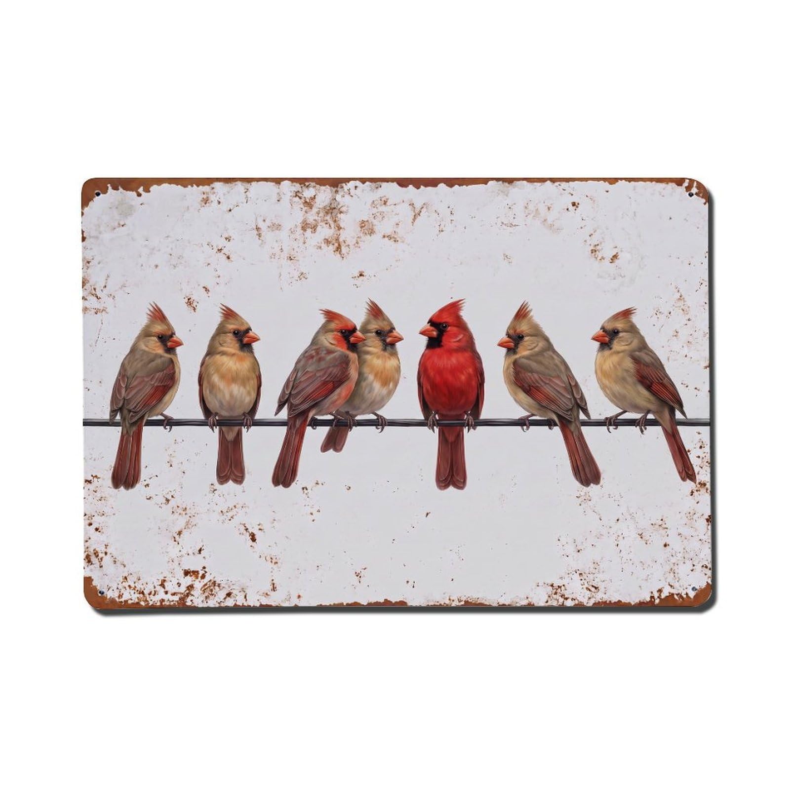 Vintage Retro Birds Cardinal Metal Tin Sign