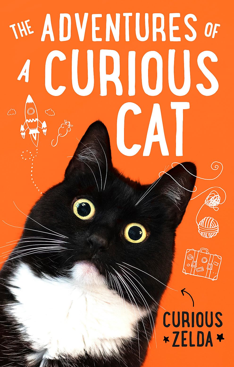 The Adventures of a Curious Cat: wit and wisdom from Curious Zelda, purrfect for cats and their humans Paperback – October 19, 2021