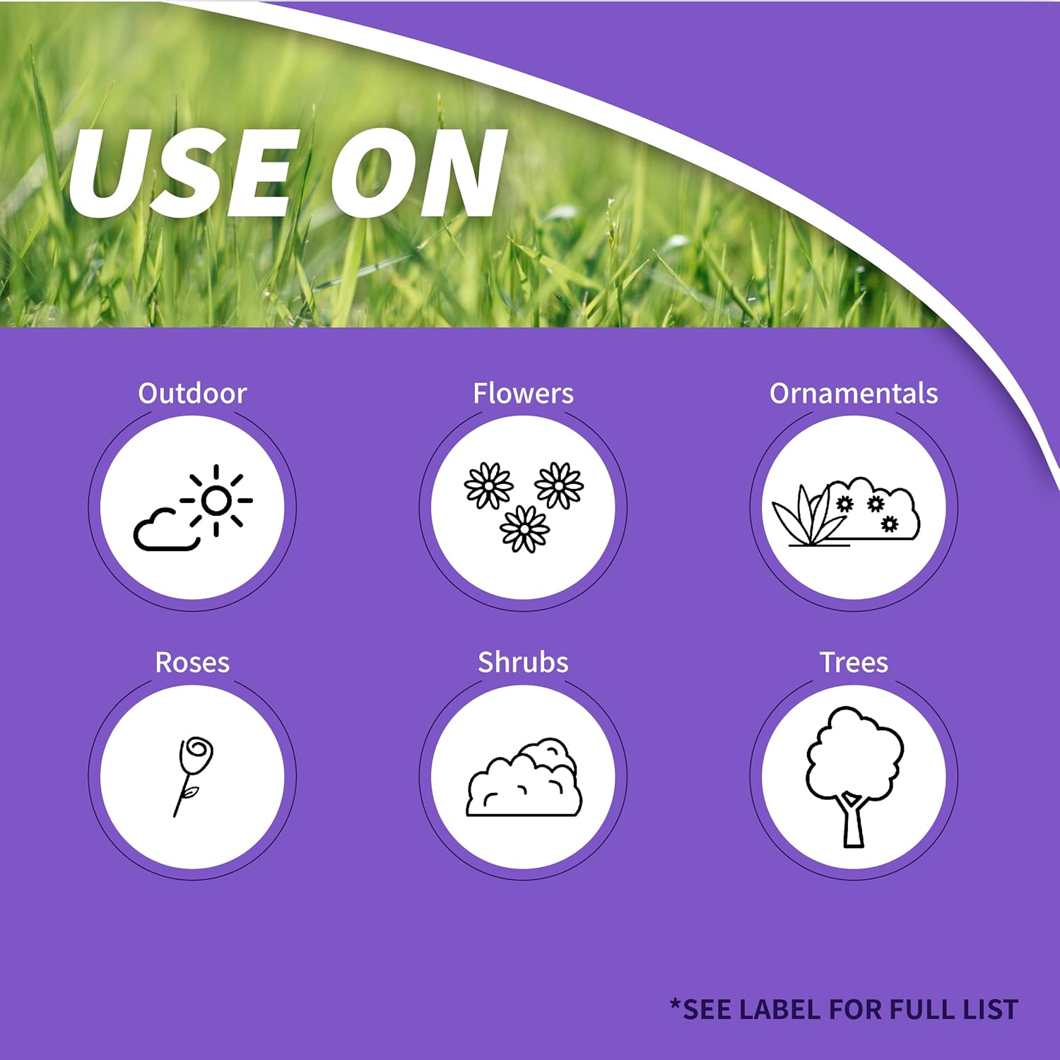 Bonide Rose Shield Systemic Rose & Flower Care, 6 lbs. Ready-to-Use Granules for Long Lasting Protection Against Garden Insects