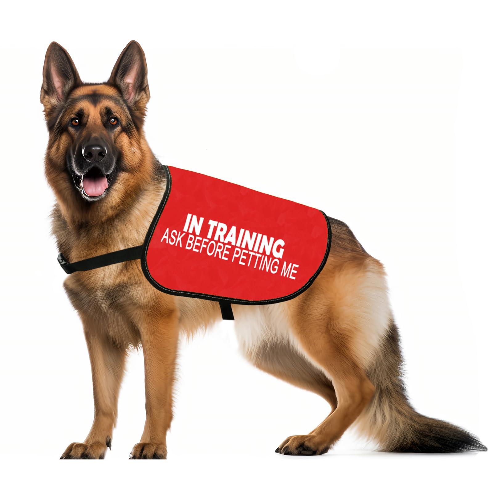 In Training Ask Before Petting Me Dog Jacket Vest Alert Slogan Warning Vest (Ask before petting L), Large