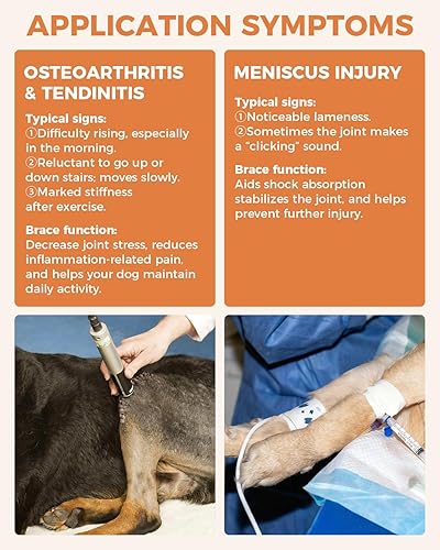 Miniatura 3 de Rodillera para Perro para ACL/CCL Desgarrado Pata Trasera, Soporte Ajustable con Suficiente Envoltura y Soporte y Rótula Luxante, Soporte Articular