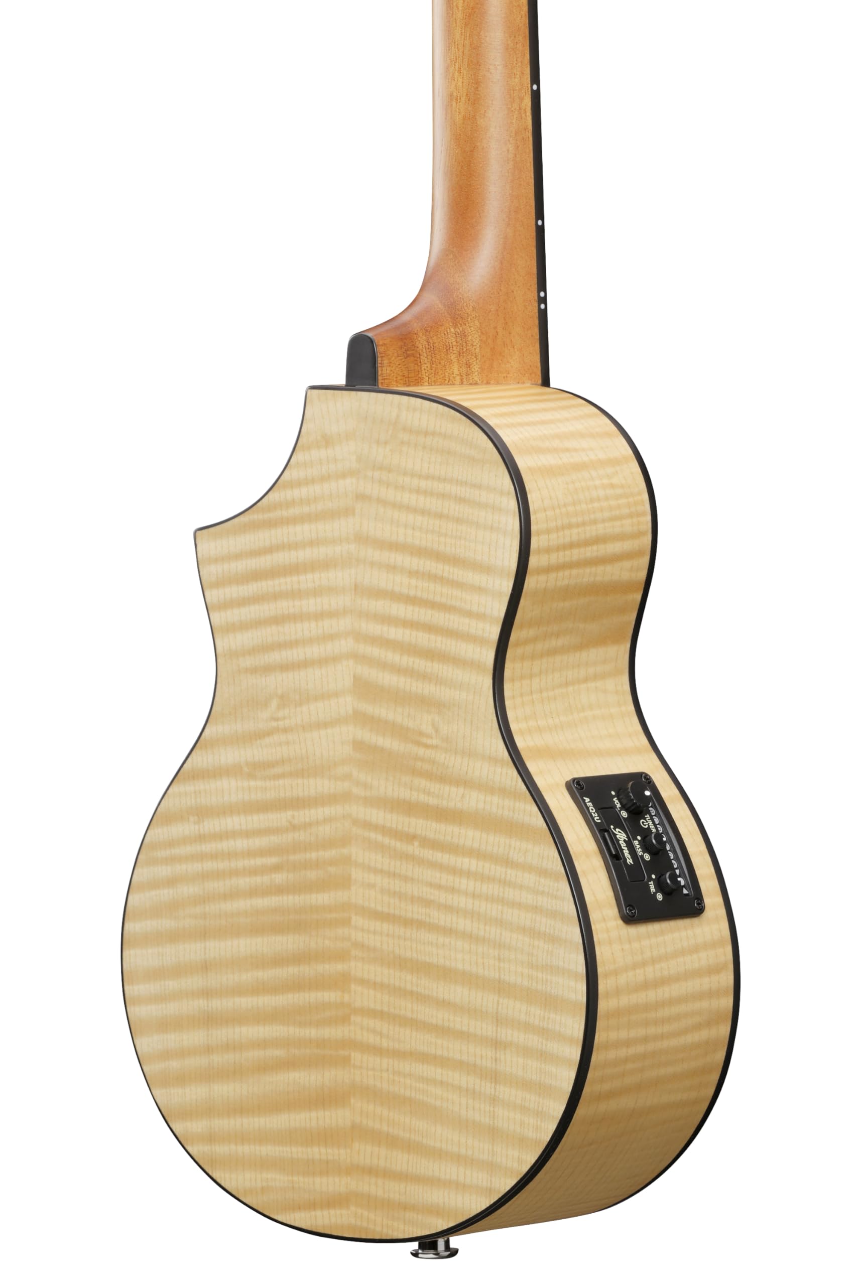 Amazon.co.jp: Ibanez/アイバニーズ コンサート・スタイル 
