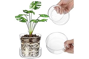 2 Pieces Anti-Slip Clear Glass Plant Pots with Drainage Holes