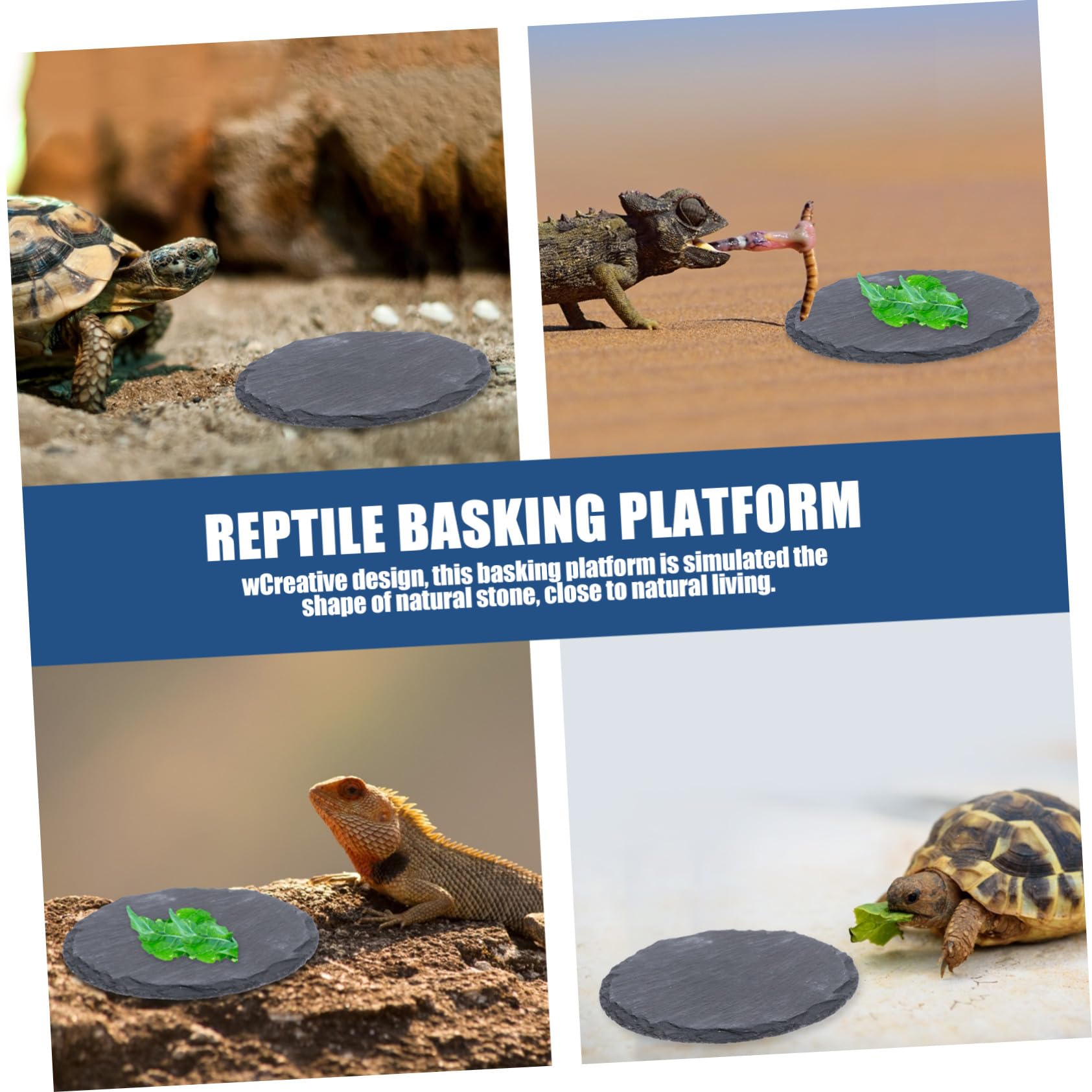 Pierre Plate pour Tortue et Reptile Plateforme Naturelle pour Bain de Soleil Mangeoire Décorative pour Lézard Gecko Serpent Accessoire Terrarium