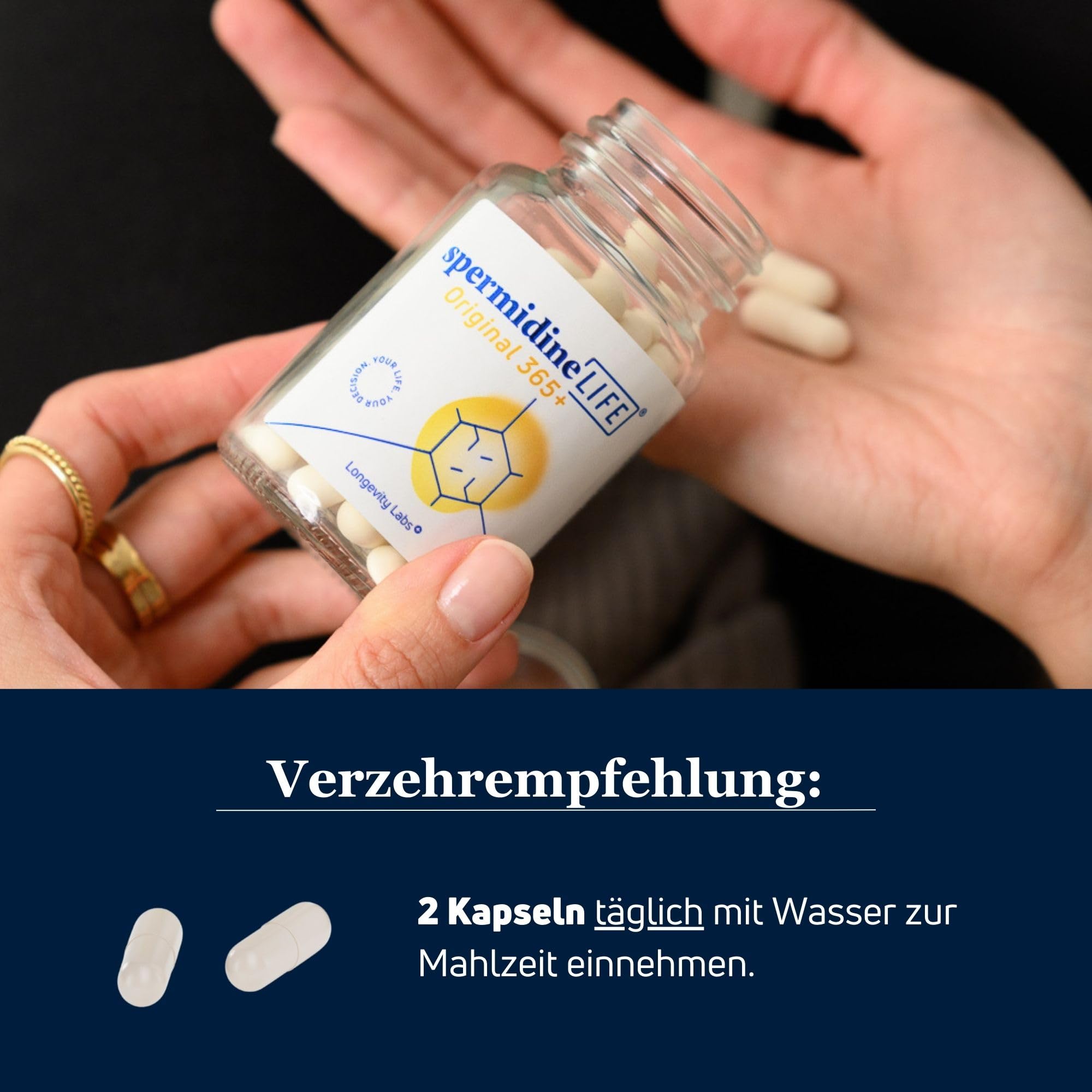 spermidineLIFE® Original 365+ | Natürlich hochdosiertes Spermidin | CelVio Weizenkeimextrakt aus klinischen Studien | Unterstützt Autophagie & Zellerneuerung | 120 Kapseln