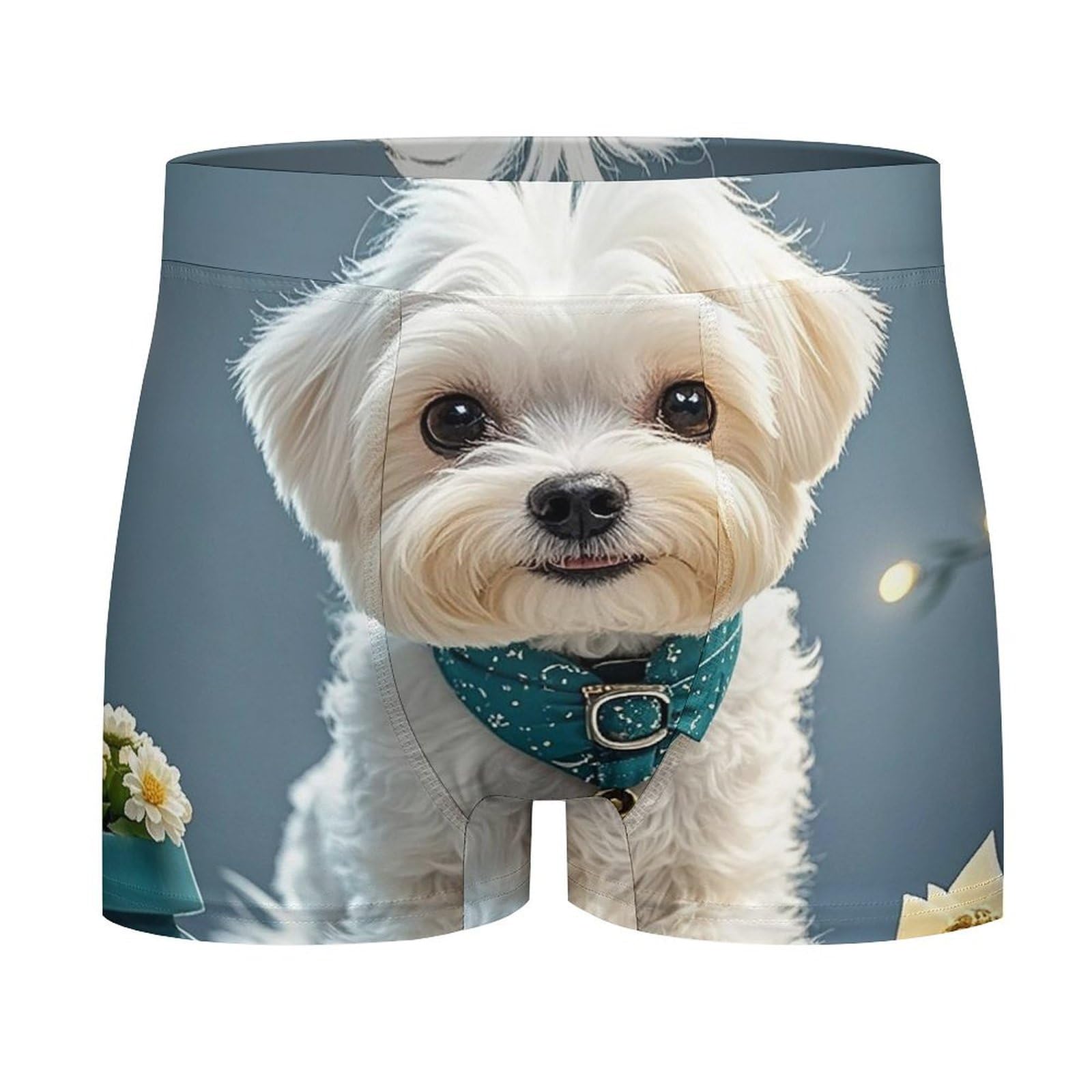 Ahdyr Unisex As Pic Mens Boxer Briefs Moisture-Wicking Underwear With Comfort Waistband Lovely Maltese Dog Stretch Underwear