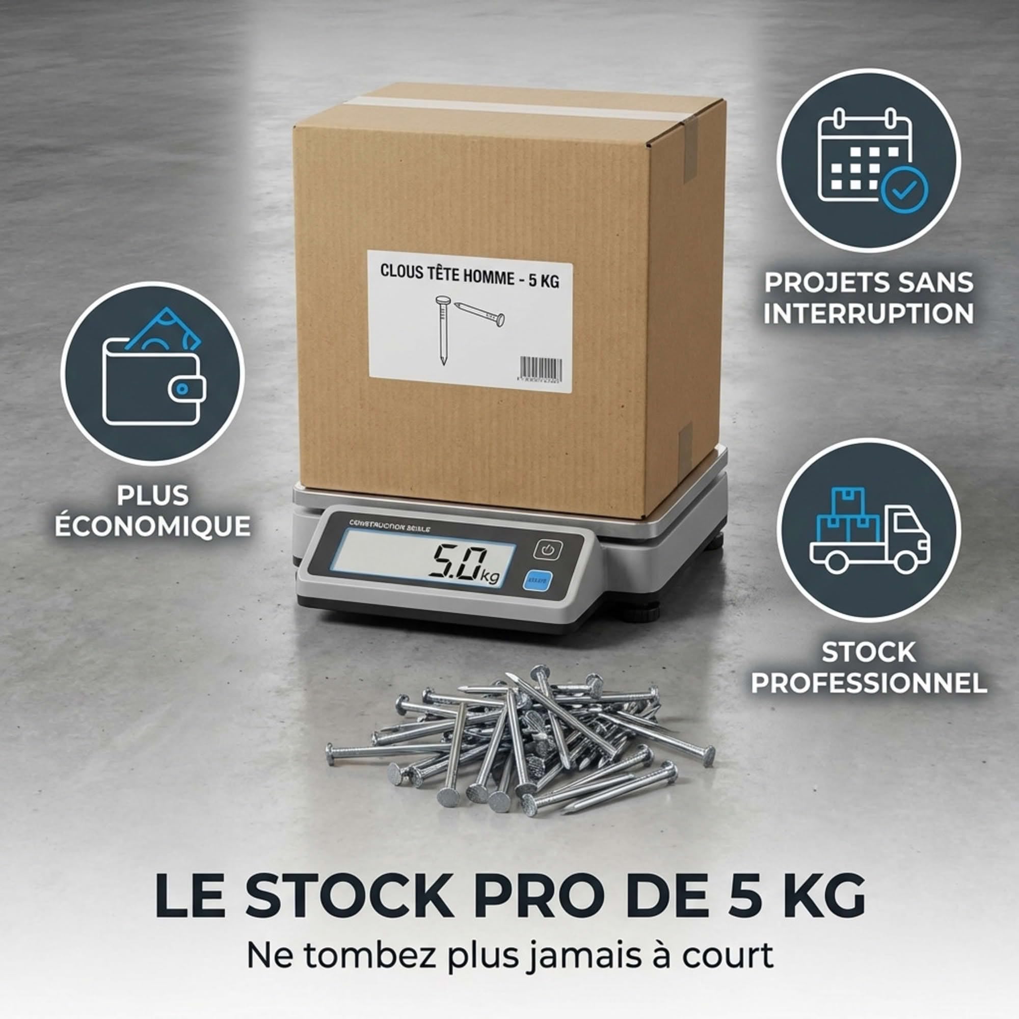 Pointes/clous tête homme - 5kg - 2,7x60