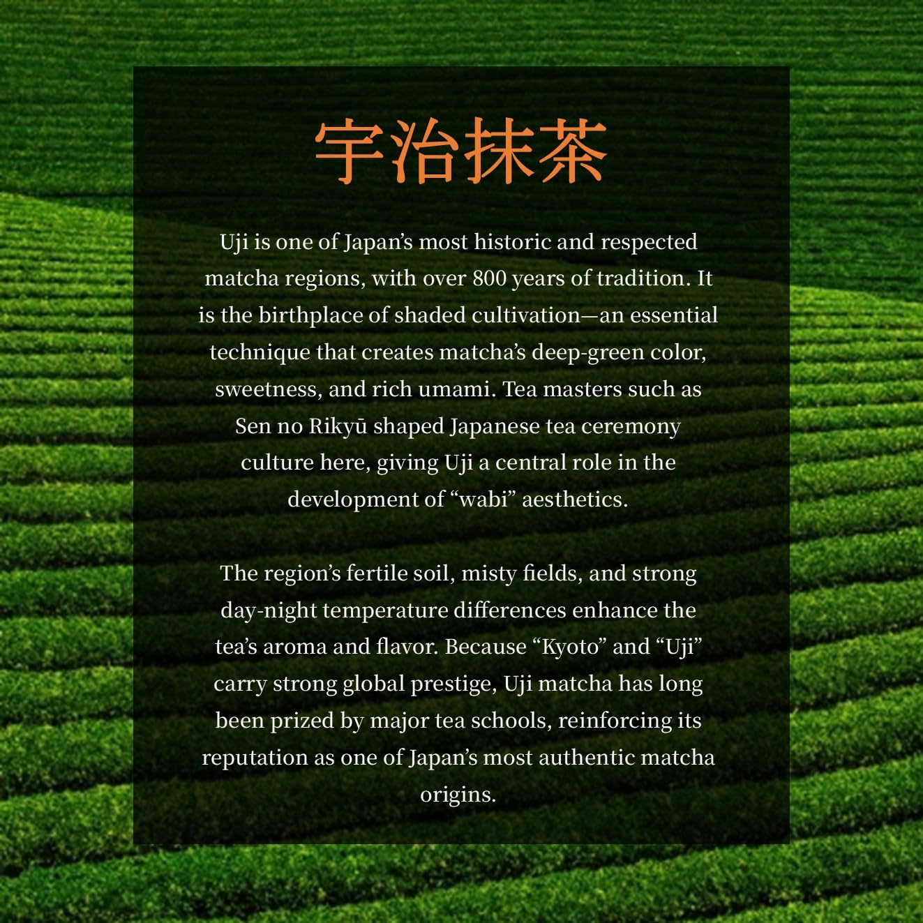 JEAU CHAU Premium Uji Matcha Powder from Kyoto, Japan (3.5oz/100g. 50 servings per bag) Vivid Green Ceremonial Quality Taste, for Lattes & Baking - Image 9