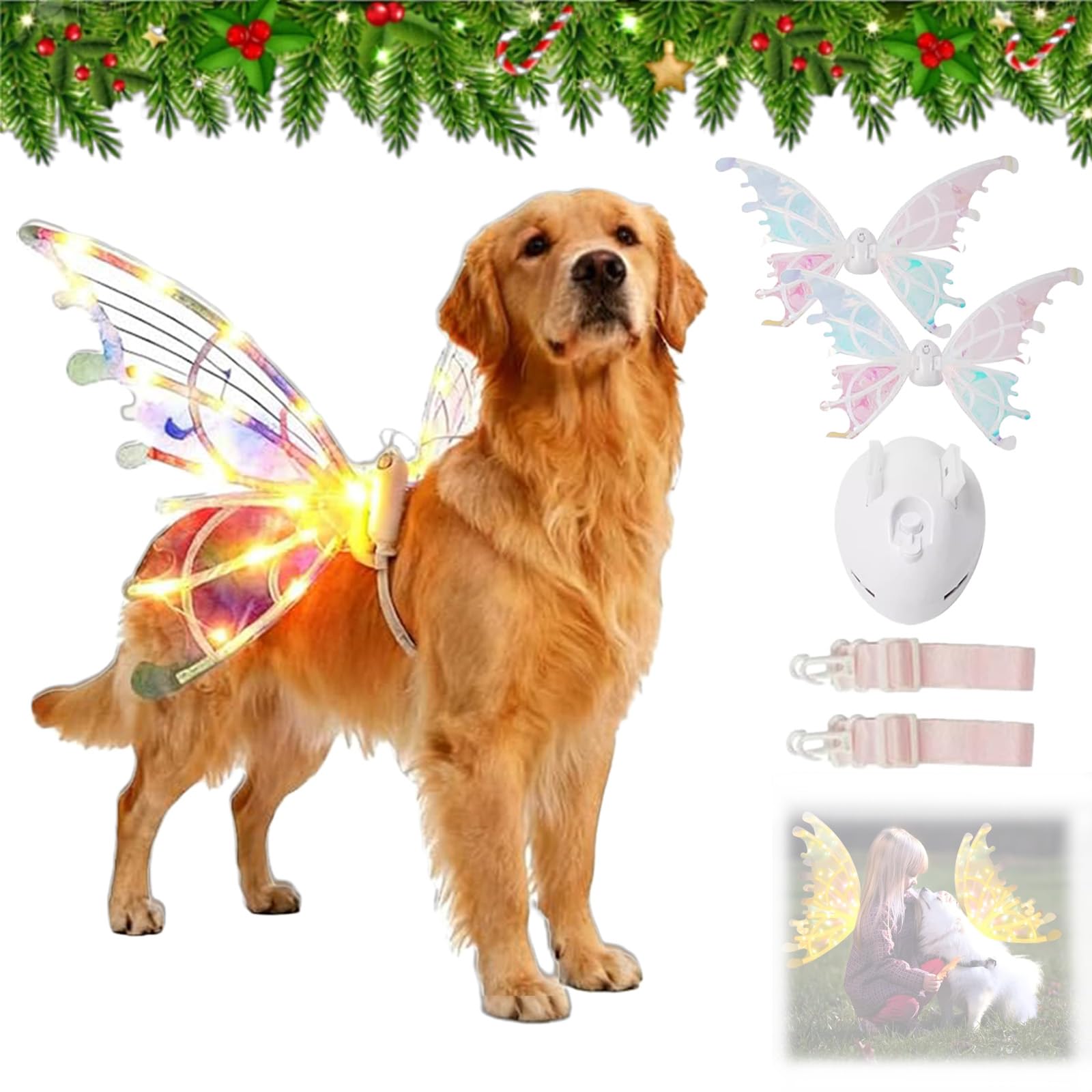 Light up Fairy Wings for Dogs, Pet Glowing Wings Costume with LED Lights, Sparkle Electric Moving Angel Wing, Christmas Cosplay Puppy, Parade Photo Props for Medium Large Dog (2Mix)