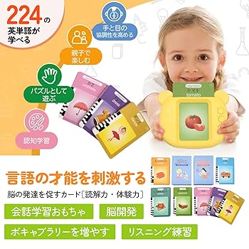 英語＆中国語フラッシュカード 485枚 970words タッチペン付き