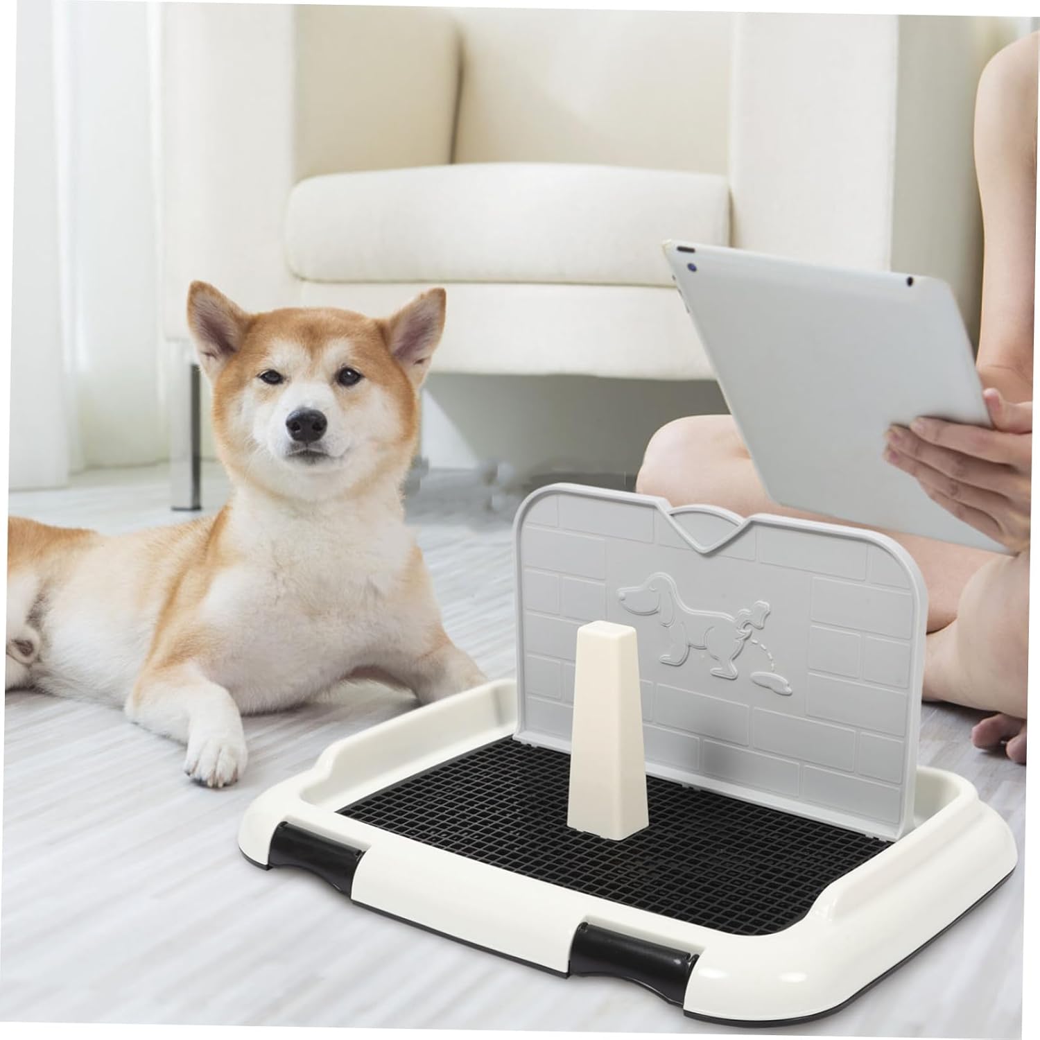 Dog Potty Tray Pee Baffle Indoor Toilet Training Pad Holder for Dogs Capacity Pet to Design for Puppies