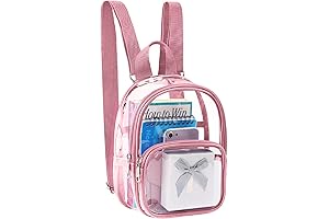 Clear Mini Backpack Under 10 Dollars Stadium Approved with Reinforced Straps