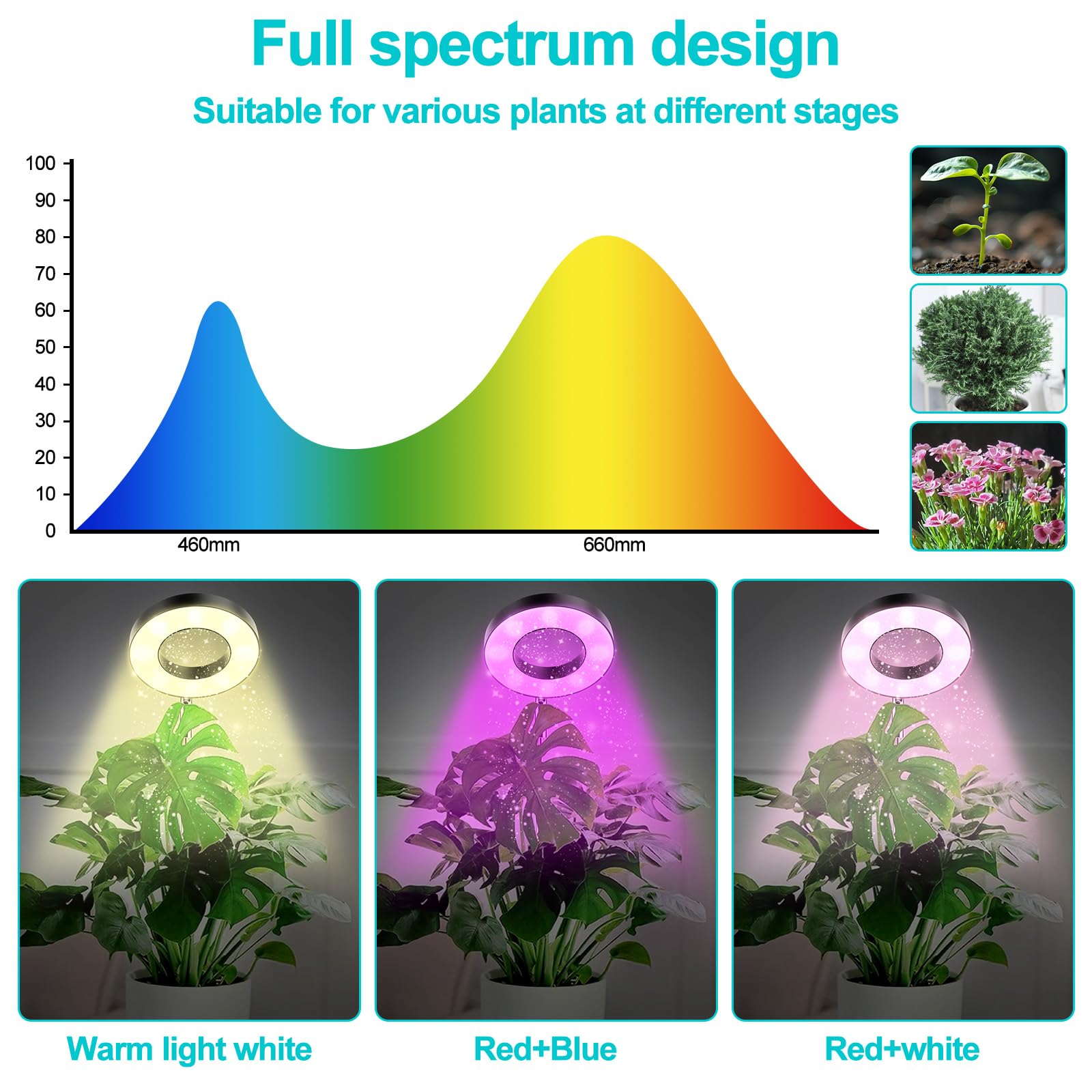 LWMTT Lámpara de Planta,48 LED Luz de Crecimiento de Espectro Completo,Luces de Crecimiento Ajustable en Altura con Temporizador 3/9/12H,9 Brillos,3 Modos,Lampara de Crecimiento para Plantas Pequeñas