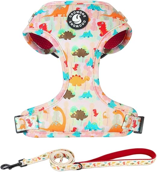 Adjustable Dog Harness and Leash Set for Girl Air Mesh Dog Vest Harness 5Ft Dog Training Leash with Soft Handle Pet Escape Proof for Small Medium Large Dogs (Dinosaur, XS)