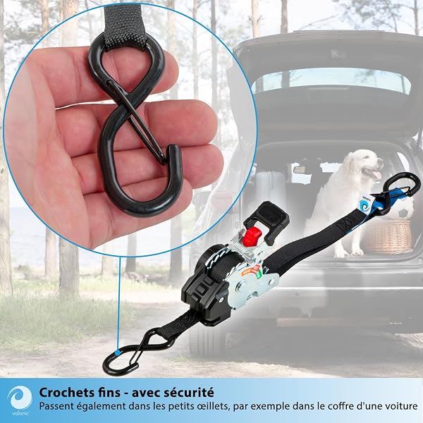 valonic Creta, Mini Sangle a cliquet 2 m, pour Coffre et remorque, Lot de 4, 150 kg Force d'arrimage, 19 mm, Sangles, pour Auto et Transport, pour Trajet Quotidien - 5