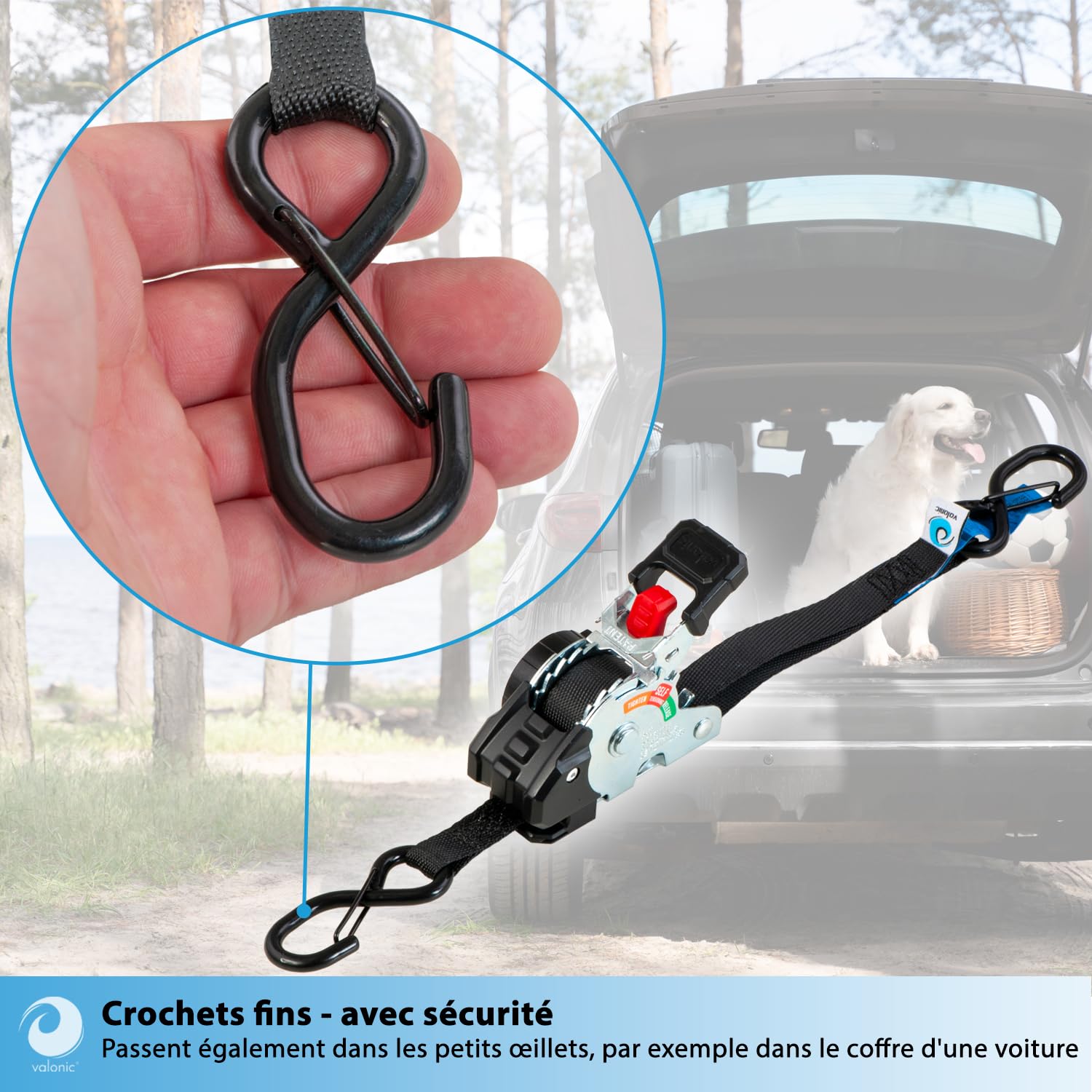 valonic Creta, Mini Sangle a cliquet 2 m, pour Coffre et remorque, Lot de 4, 150 kg Force d'arrimage, 19 mm, Sangles, pour Auto et Transport, pour Trajet Quotidien