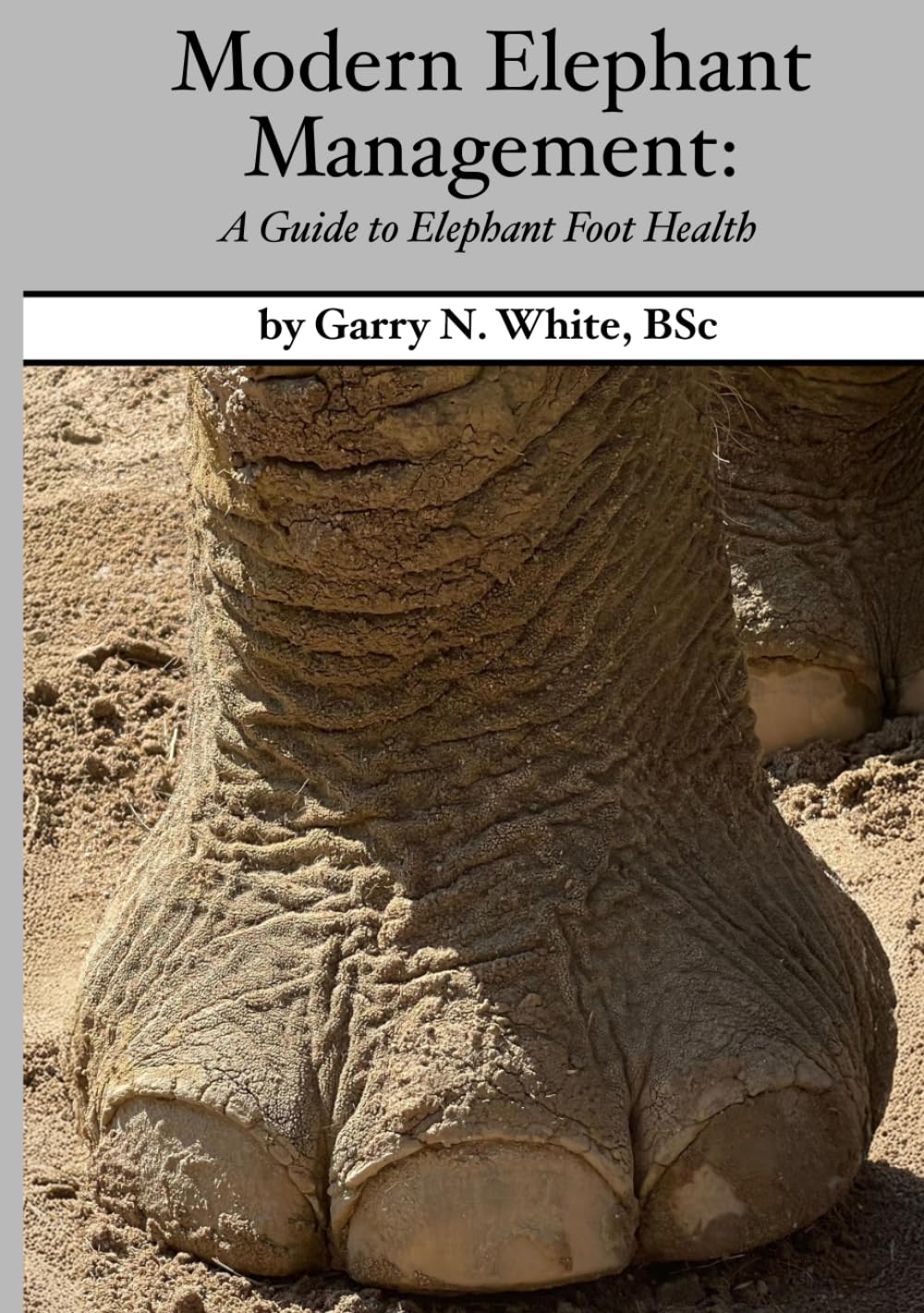 Modern Elephant Management: A Guide to Elephant Foot Health