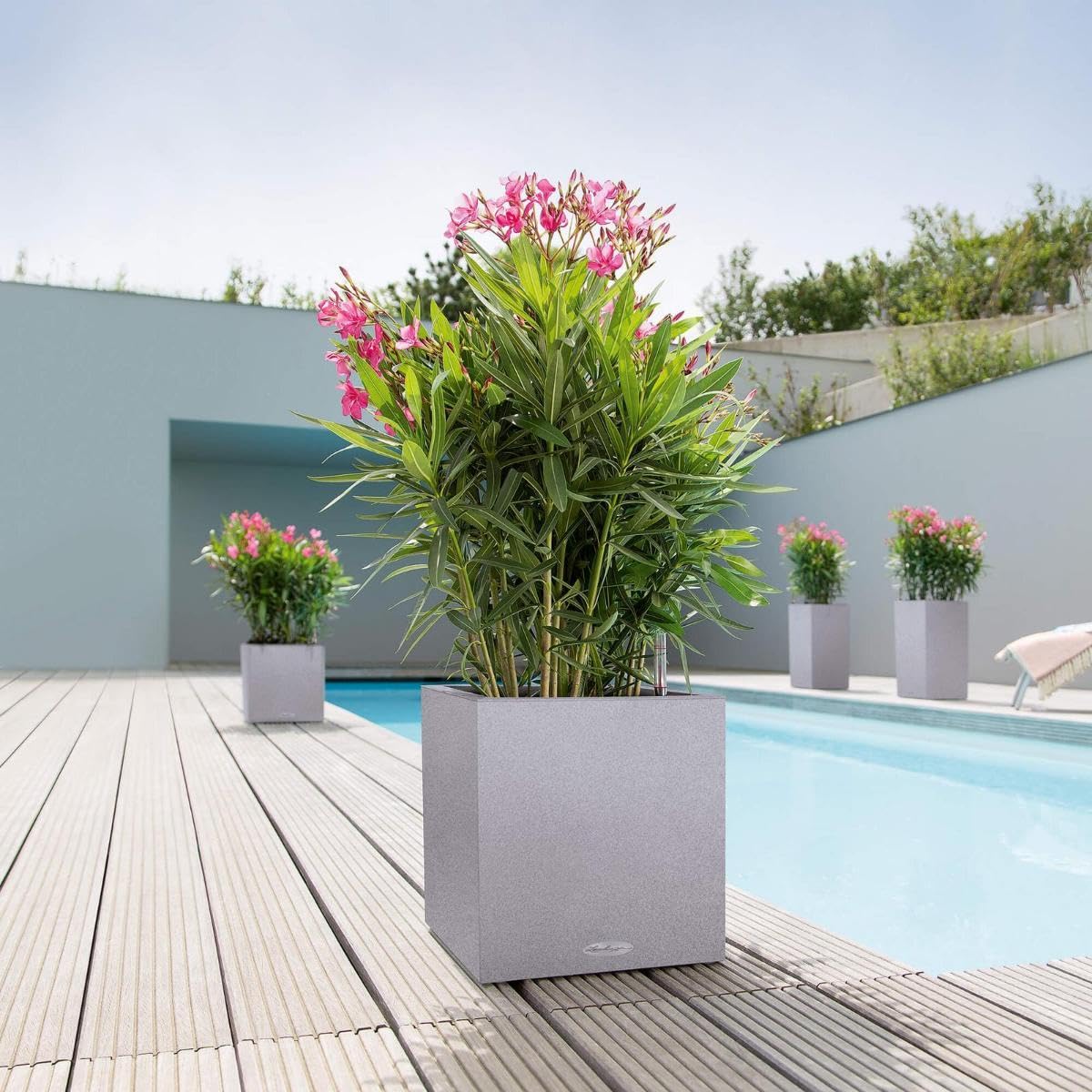 LECHUZA CUBE Triple Rosso Scarlatto Lucido High Gloss 13672
