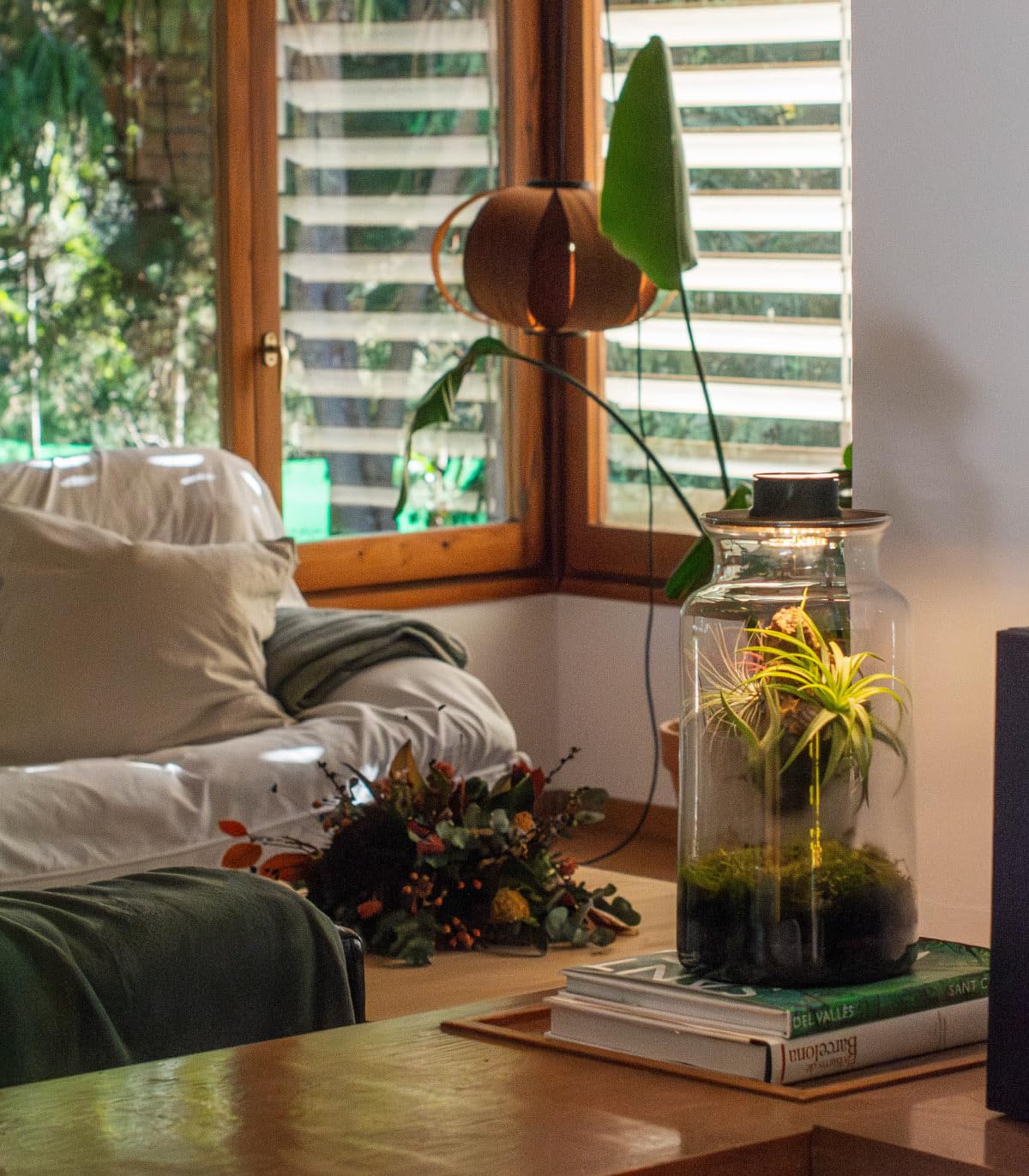 Jardin en Botella Eter - Terrario Plantas Vidrio Transparente Tapa con Foco LED | Kit Jardin en Botella Todo Incluido Plantas de Aire Naturales en Raiz de Olivo