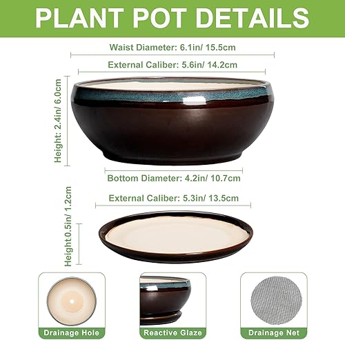 Miniatura 2 de Macetas SQOWL para suculentas con orificio de drenaje - Macetas de bonsái de cerámica de 6 pulgadas, maceta honda con platillo, maceta redonda para
