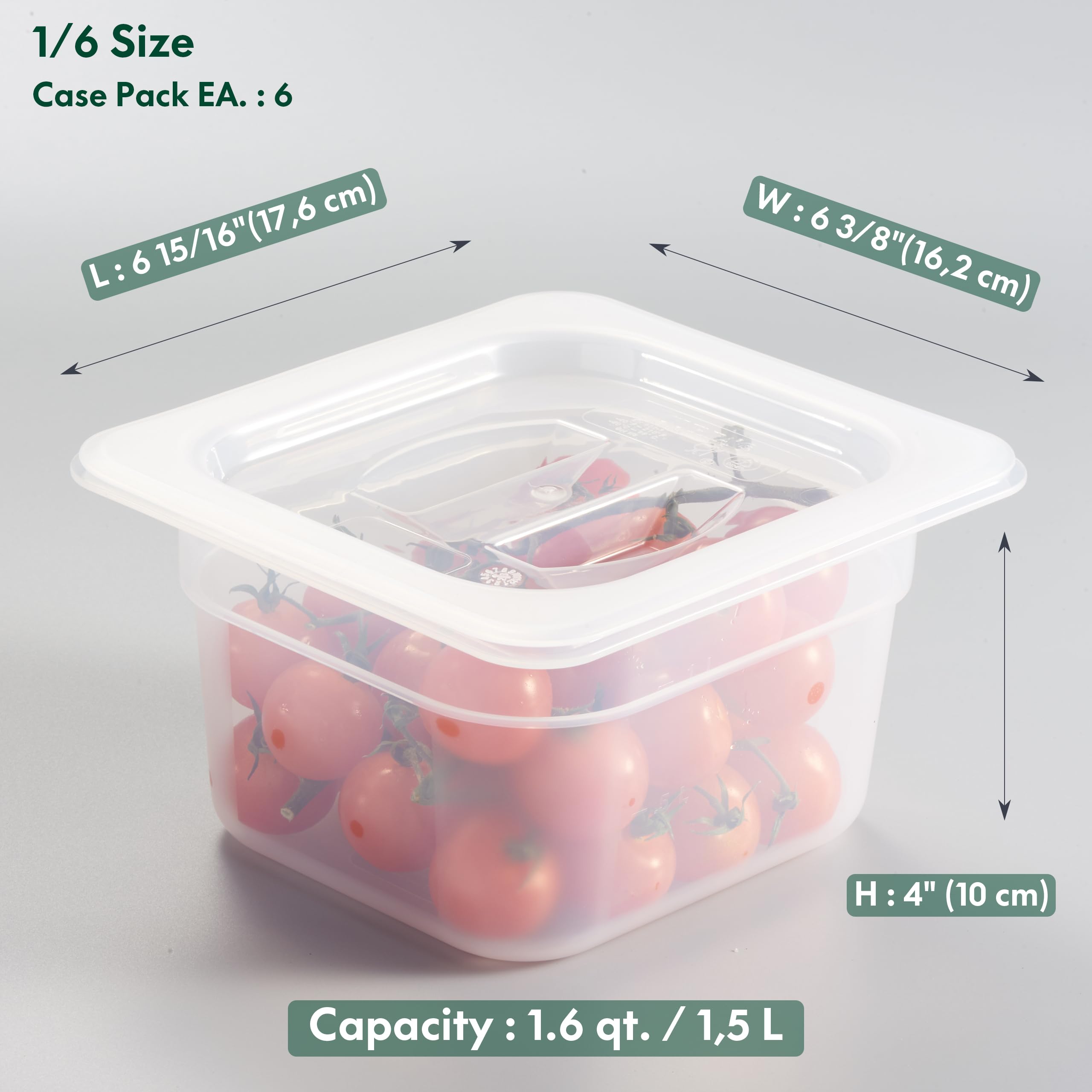 CURTA Paquete de 6 sartenes de polipropileno para alimentos, tamaño 1/6 de 4 pulgadas de profundidad, plástico de policarbonato comercial, transparente, apto para congelador