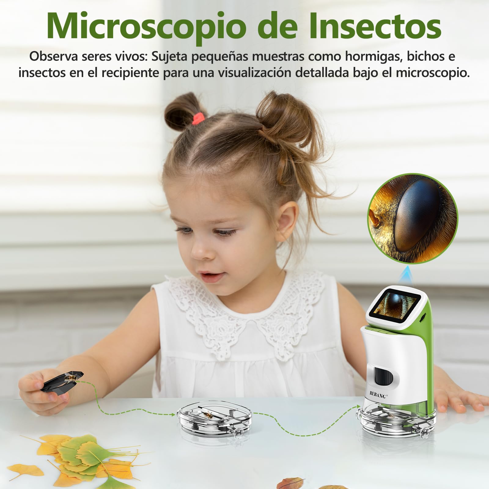 Miniscopio de mano desmontable para niños, pantalla HD 4K de 2 pulgadas, microscopios digitales de juguete de bolsillo 1000X para niños y niñas de 4 a 12 años, kit de tallo científico portátil con