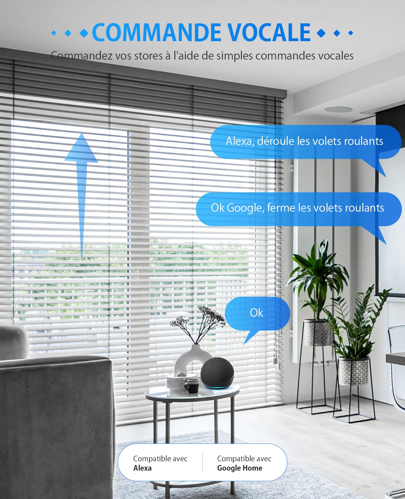 Interrupteur Volet Roulant Connecté CS01, Compatible Alexa/Google Home/Smart Life, Commande Vocale et APP