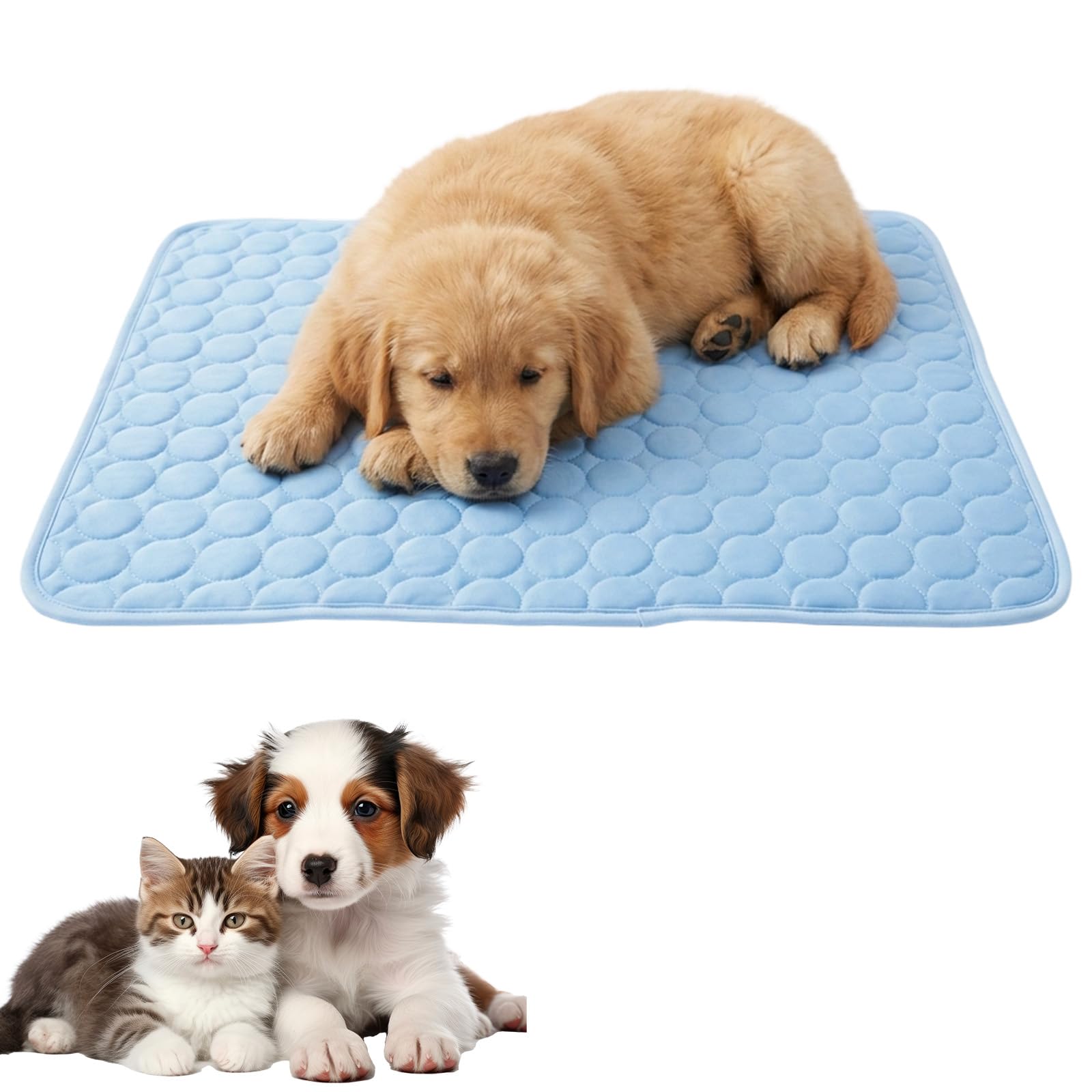 ZeBQrphio Dog Cooling Mat,62x50cm Pet Cool Mat，Durable Leakproof Pet Cool Mat, Self Cooling Pads for Medium Dogs and Cats, Scratch-Resistant Cooling Bed Mattress for Indoor and Outdoor Use