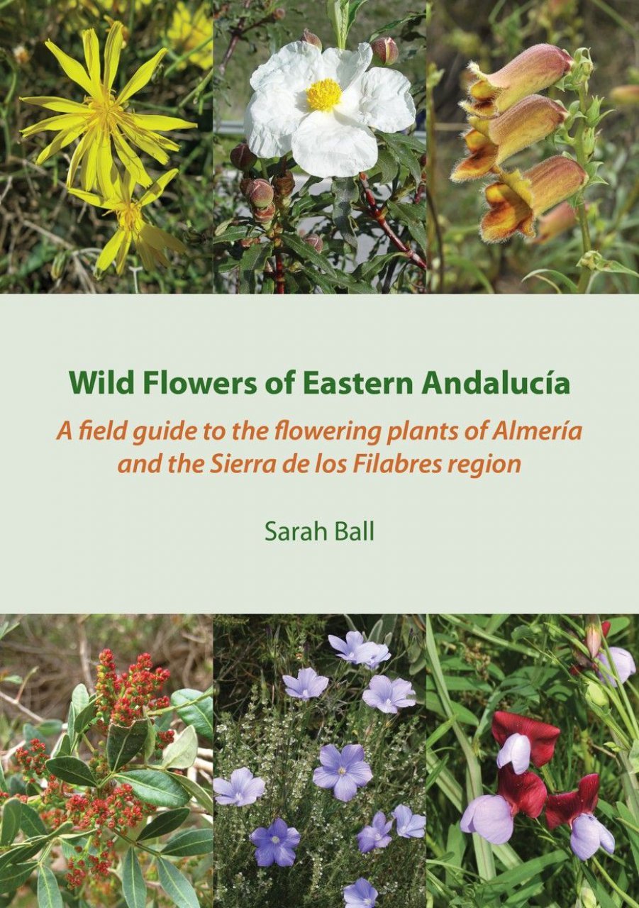 Wild Flowers of Eastern Andalucía: A Field Guide to the Flowering Plants of Almería and the Sierra De Los Filabres Region