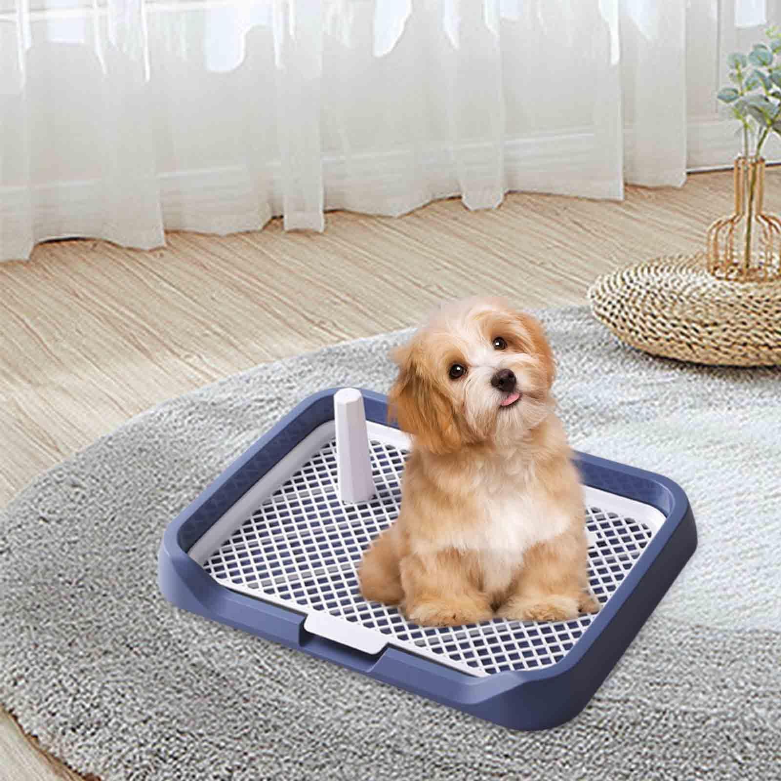 Plateau d'apprentissage de La Propreté pour Chien, Urinoir Portable, 46 X 35 X 5 Cm, Porte-Tapis, Bleu