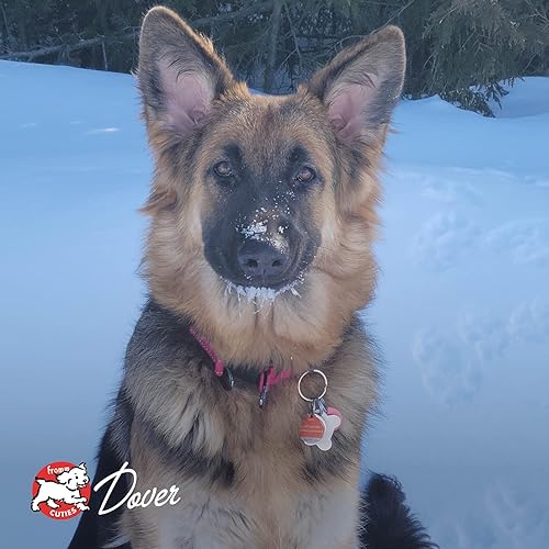 Miniatura 8 de Fromm Four-Star Nutritionals Beef Frittata Veg, alimento seco prémium para perros - Receta de carne de res - 26 libras