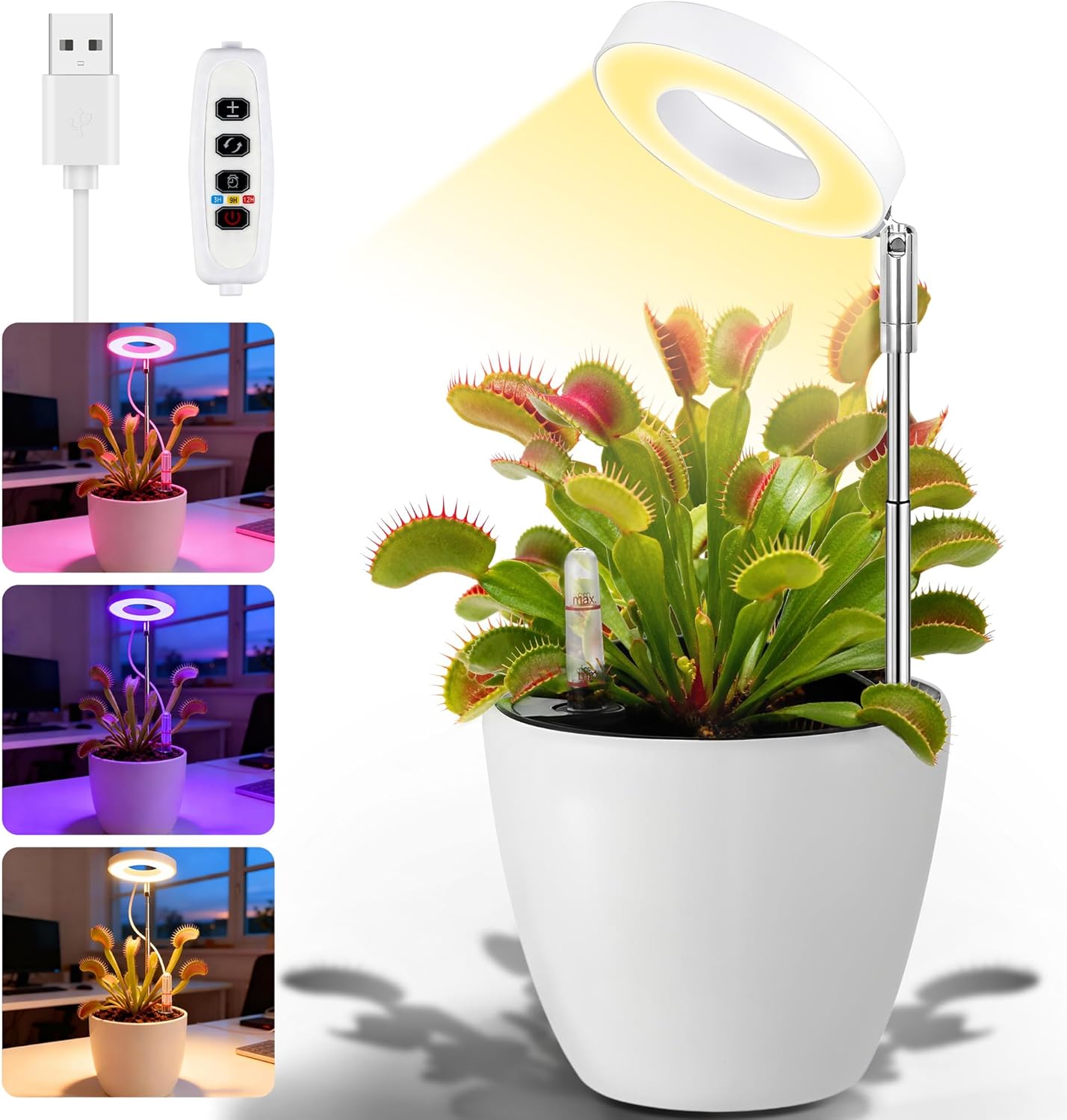 Churika Venus Flytrap Desktop Terrarium Review: LED Grow Light Pot for Indoor Carnivorous Plants & Succulents